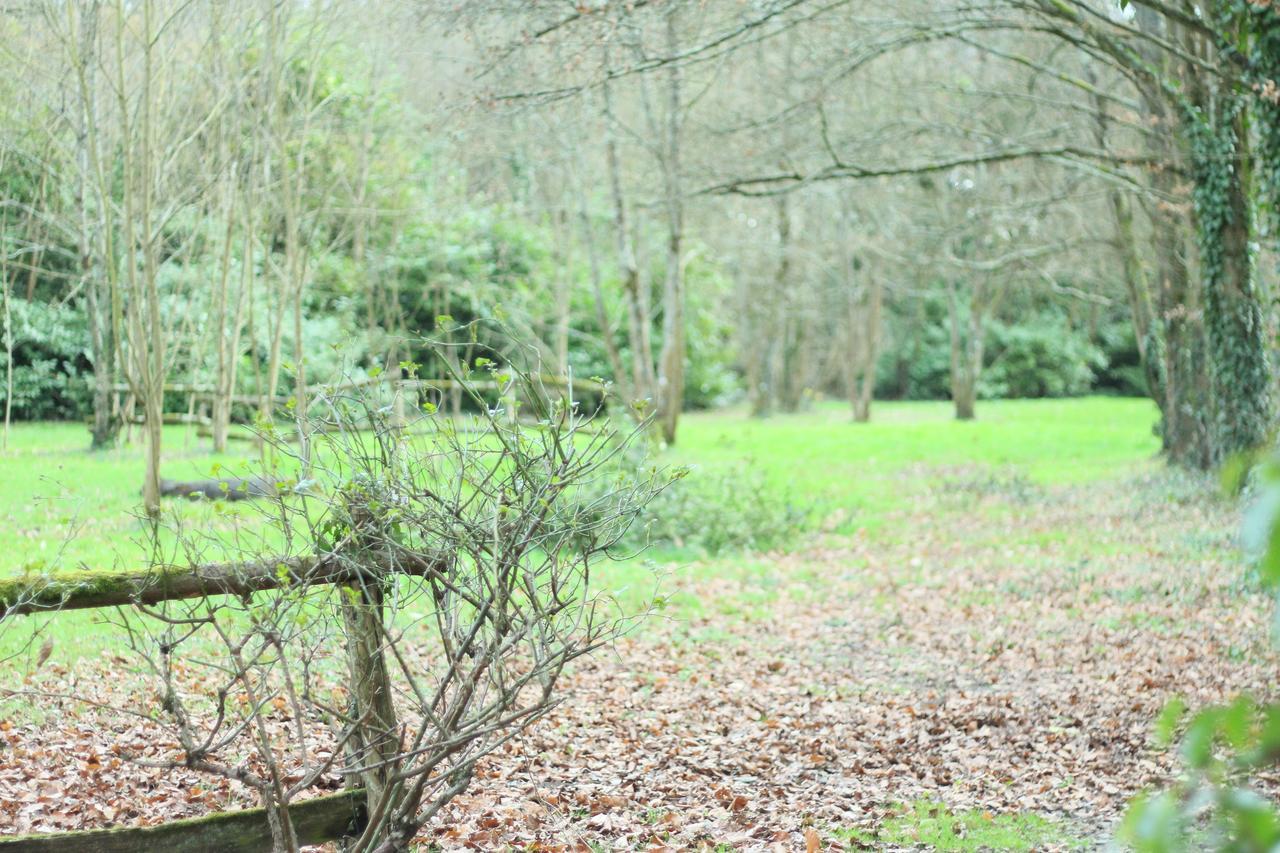 La Guilbaudiere Bed & Breakfast Saint-Herblain Bagian luar foto