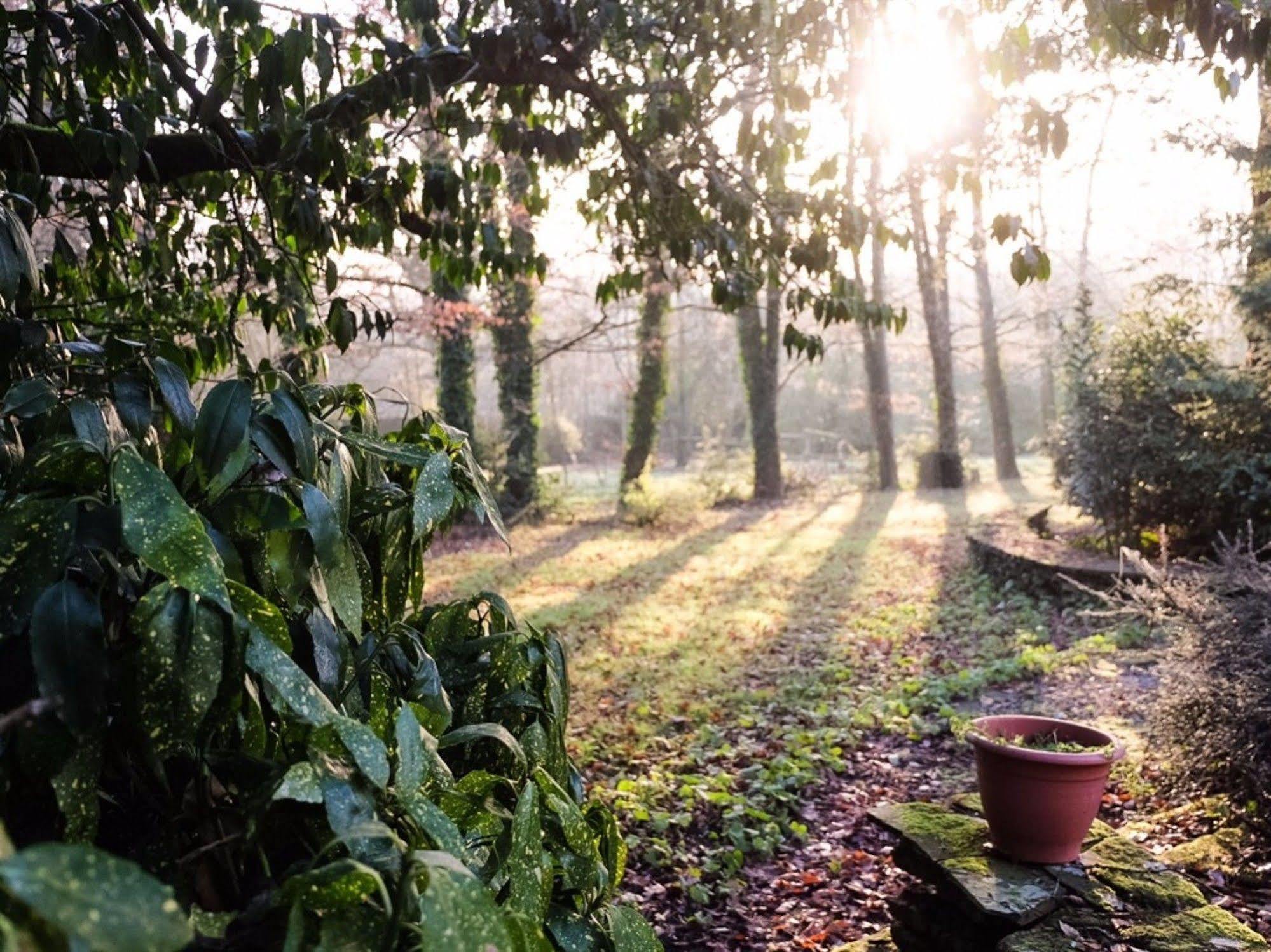 La Guilbaudiere Bed & Breakfast Saint-Herblain Bagian luar foto